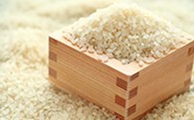 27年度米匠米（ゆめぴりか）の特産品画像
