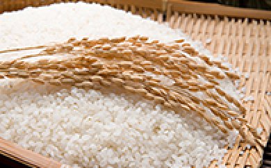 27年度産 ななつぼし高度クリーン米の特産品画像