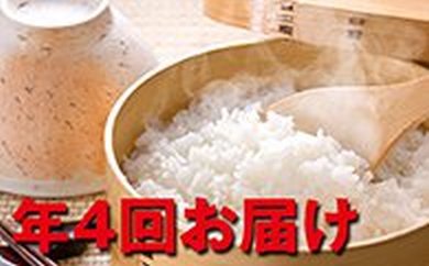 27年度米清米（ななつぼし）４ヶ月連続お届けの特産品画像