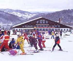 ｢かもい岳スキー場リフト1回券｣/10枚綴の特産品画像