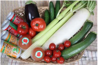 余湖さん家の季節の野菜と加工品セット（夏）の特産品画像