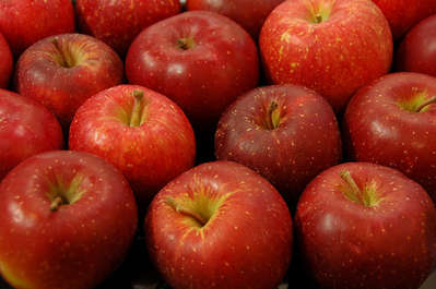 りんご　１０ｋｇ詰合せの特産品画像
