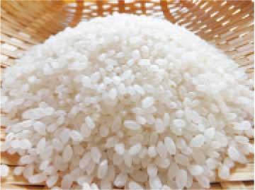 乙部産の美味しいお米（10kg）の特産品画像