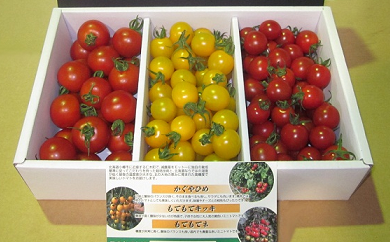 仁木町トマト生産組合　３種のミニトマトセットの特産品画像