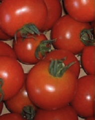 仁木ファームのトマトとトウモロコシの特産品画像