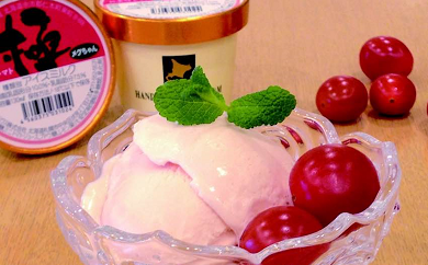 ミニトマトアイスクリーム 極「仁木町産メグちゃん使用」の特産品画像