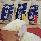 特別栽培「きなうす米(精米)」セットAの特産品画像