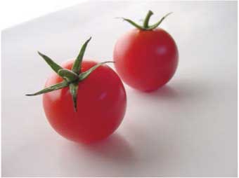 ミニトマトの特産品画像