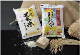 【もち米＆お米のセット10kg】風の子もち・おぼろづき 低農薬米の特産品画像