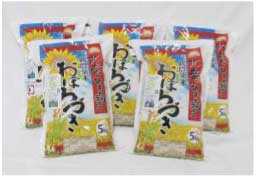 【お米25kg】おぼろづき 低農薬米の特産品画像