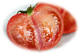 フルーツトマト2箱の特産品画像
