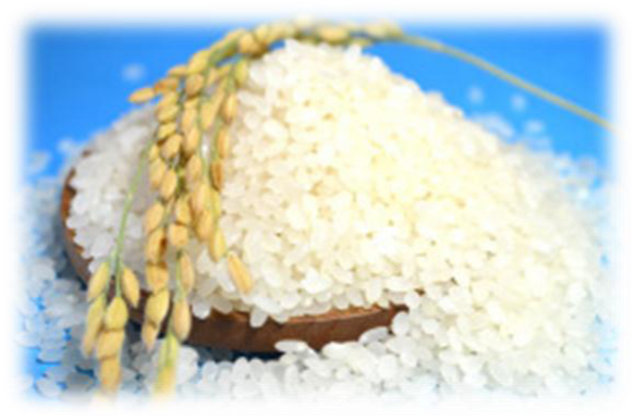むかわのお米食べ比べセットの特産品画像