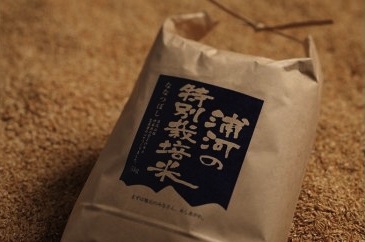 浦河の特別栽培米10kgセット（精米仕立てをお届け）の特産品画像
