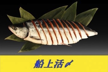 船上活〆時鮭半身切身(1kg以上)の特産品画像