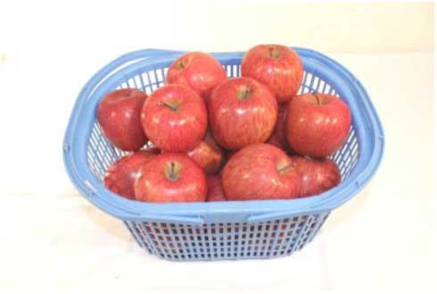 りんごコースの特産品画像