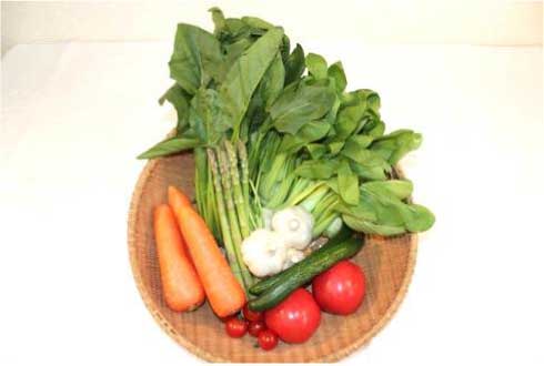 季節の野菜コースの特産品画像