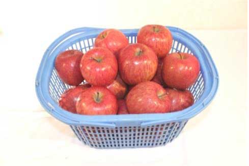 りんご満喫コースの特産品画像