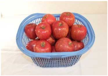 りんご満喫コースの特産品画像