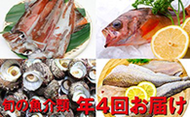 旬の魚介類　年4回お届けの特産品画像
