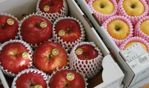 三戸りんご約10kgの特産品画像