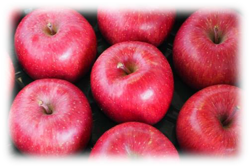 りんご詰め合わせ(5kg)の特産品画像