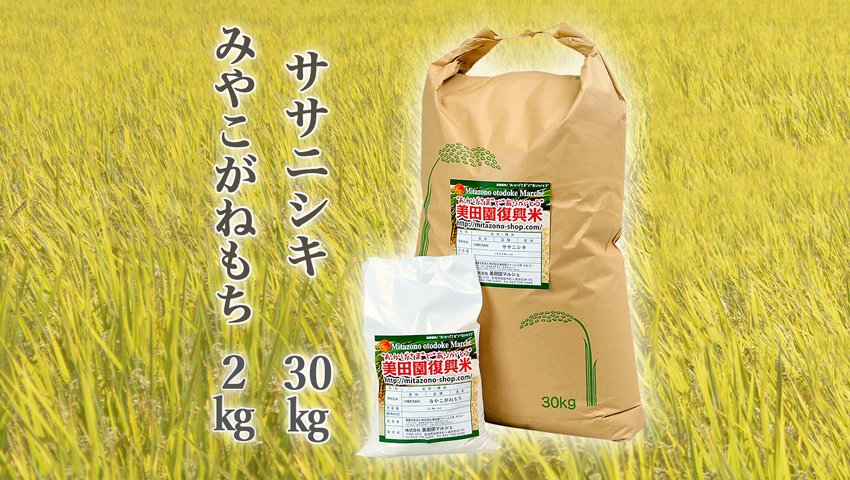 美田園復興米　30kgと餅米2kg　玄米も対応します（もち米は精米）の特産品画像