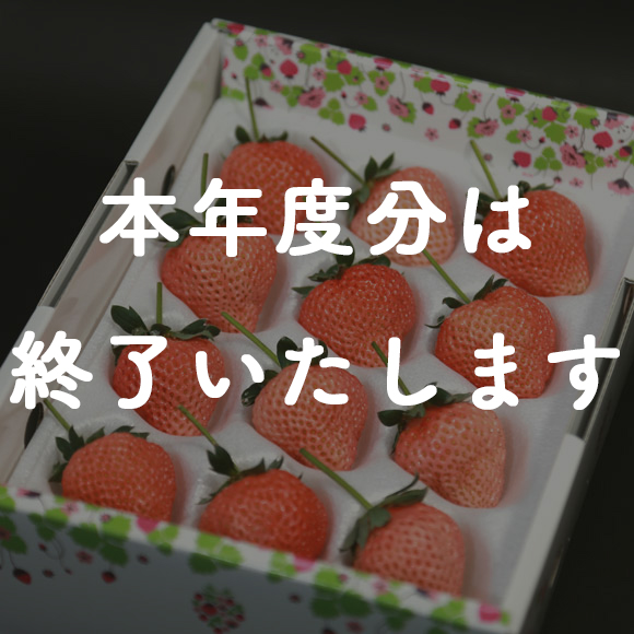 贅沢ないちご「桃薫」Lサイズ12個の特産品画像