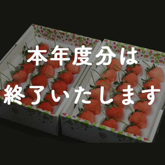 ご家庭用 いちご「桃薫」18個×2箱の特産品画像