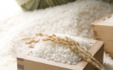 有機JAS栽培米2種食べ比べセット4kg 16年11月より出荷の特産品画像
