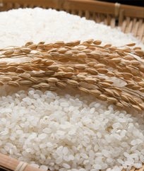 郷の有機使用　特別栽培米10kg（ひとめぼれ、ササニシキ）の特産品画像