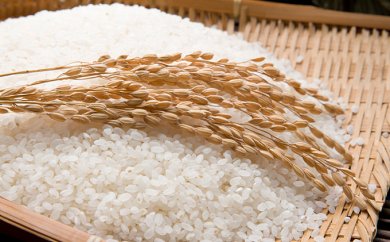 郷の有機使用　特別栽培米10kg（ひとめぼれ）の特産品画像