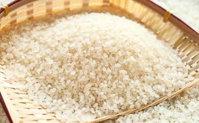 郷の有機使用　特別栽培米10kg（ササニシキ）の特産品画像
