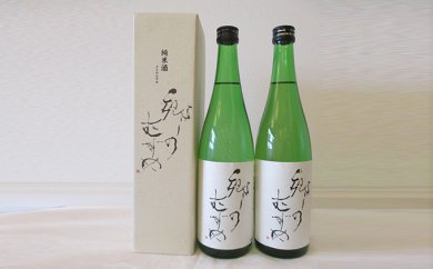純米酒 郷のむすめ720ml×3本の特産品画像