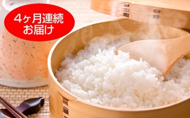 特別栽培米つや姫10kg　4ヶ月連続お届けの特産品画像