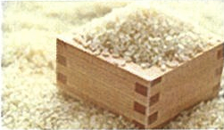 幻のお米・自然栽培米「ササシグレ」７kgの特産品画像