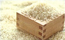 幻のお米・自然栽培米「ササシグレ」20kgの特産品画像