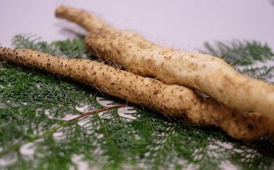 自然薯の特産品画像
