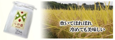 山形県の新品種のお米「つや姫(2kg)」の特産品画像