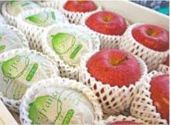 ラ・フランス&ふじりんごセットの特産品画像