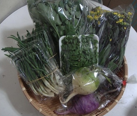 天童産野菜の詰合せの特産品画像
