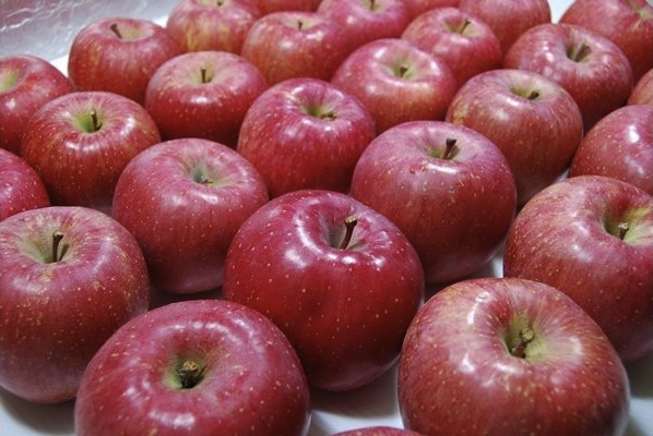 りんご（大玉サンふじ）の特産品画像
