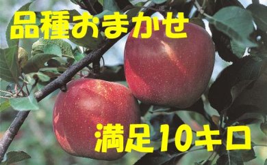 満足りんご（品種おまかせ）10Kgの特産品画像