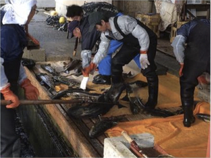 日本海側トップレベル!鮭の遡上と永泉寺秘宝見学バスツアーの特産品画像