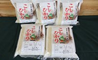 福島県玉川村産コシヒカリ米(10kg)の特産品画像