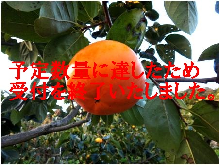 太秋柿（岡本果樹園）の特産品画像