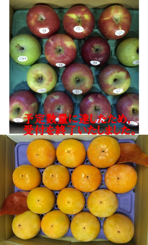 柿・りんごセット（三宝園）の特産品画像