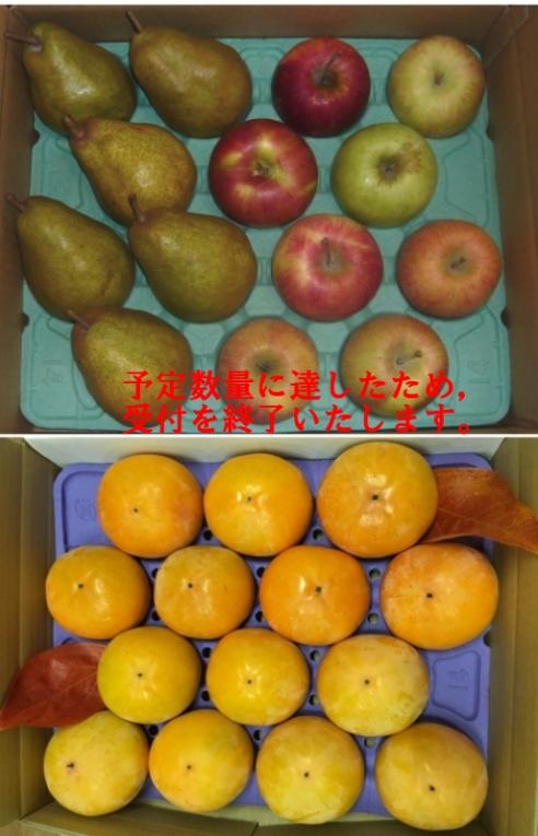 柿・りんご・洋ナシセット（三宝園）の特産品画像