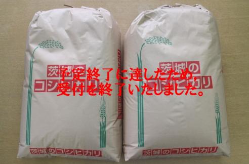 茨城県産コシヒカリ(玄米)60kgの特産品画像