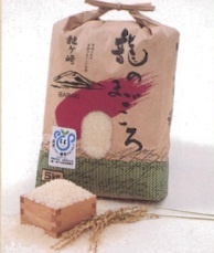 エコファーマー認定生産者が作る「龍のまごころ」特別栽培米コシヒカリ5kgの特産品画像