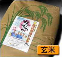天皇杯受賞　日本一米農家「横田農場」の特別栽培米ゆめひたち(玄米30kg)の特産品画像